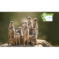 Bekijk de deal van Groupon: Emmen: 1 of 2 nachten + tickets dierentuin Bekijk de deal van Groupon: Emmen: 1 of 2 nachten + tickets dierentuin