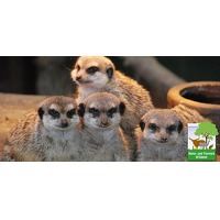 Bekijk de deal van Wowdeal: Entreeticket bij Natur- und Tierpark Bruggen