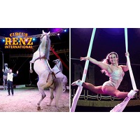 Bekijk de deal van Social Deal: Voorstelling Circus Renz International