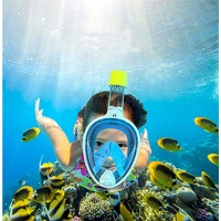 Bekijk de aanbieding van Elkedagietsleuks Ladies: Snorkelmasker met camerabeugel