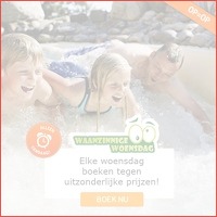 Waanzinnige Woensdag