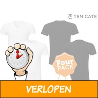 4-pack Ten Cate herenshirts