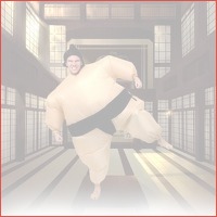 Sumo wrestler pak