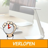 Stijlvolle bureaulamp