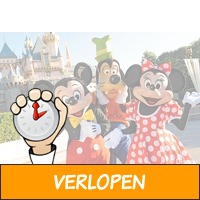 Dagtocht Disneyland Paris