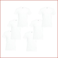 Fruit of the Loom T-shirt (6-pack)