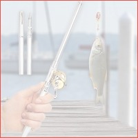 Pen Fishing Rod