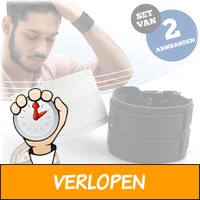 2 lederen armbanden met dubbele gesp