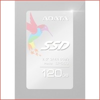 ADATA Premier SP550