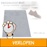 Droogloopmat 100 x 60 cm