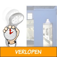 LED buitenlamp inclusief sensor