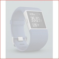 Fitbit Surge smartwatch large - blauw