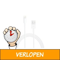 Originele Apple iPhone/iPad kabel