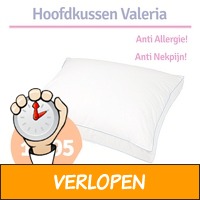 Hoofdkussen Valeria