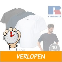 10-pack Russell katoenen T-shirts