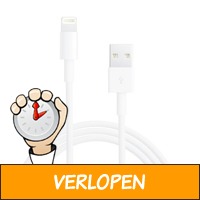 Originele Apple iPhone/iPad kabel