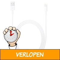 Originele Apple iPhone/iPad kabel