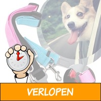 Autogordel voor honden