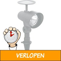 Solar LED plantenspot