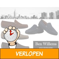 Ben Willems heren instappers