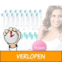 16-pack opzetborstels