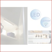 Powerled kastlamp met sensor