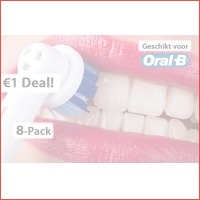 1EURO DEAL: 8 opzetborsteltjes