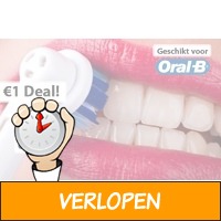 1EURO DEAL: 8 opzetborsteltjes