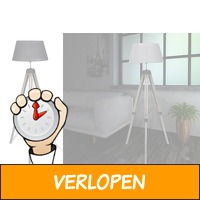 Industrieel vormgegeven vloerlamp