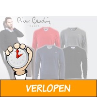 Pierre Cardin V-hals pullover in 5 kleuren