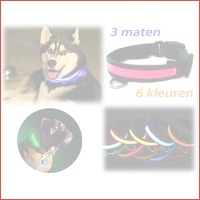 LED halsband voor je hond