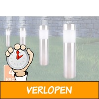 Set van 4 RVS Solar LED-tuinlampen