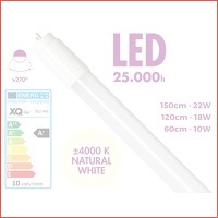 XQ LED TL-buizen