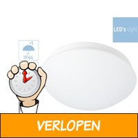 LED's light plafondlamp met bewegingssensor