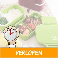 Bento lunchbox