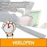 Toolwelle 4-in-1 bijl