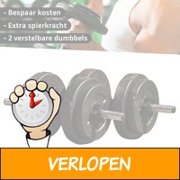 Iron Gym dumbbell set 15 kg