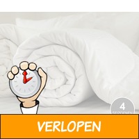 4 seizoenen dekbed