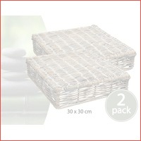 2-pack luxe rieten plantentrolleys