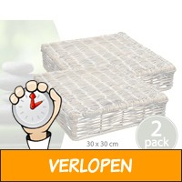 2-pack luxe rieten plantentrolleys