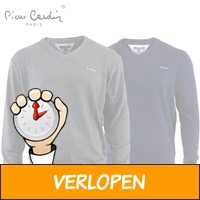 V-hals truien van Pierre Cardin