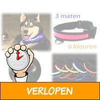 LED halsband voor je hond