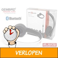 Bluetooth Headphones Berlin Series