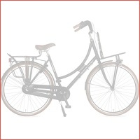 Stokvis Cargo damesfiets