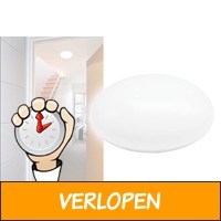 LED-plafonnieres in 3 sterktes