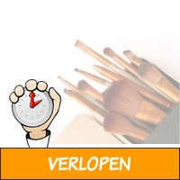 Set van 12 make-up kwastjes