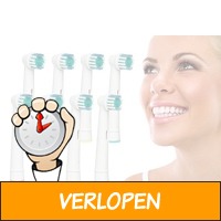 8-pack huismerk opzetborstels