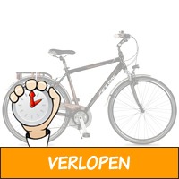 Ferrini Venue herenfiets 21V