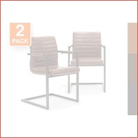 Set van 2 stoere eethoekstoelen