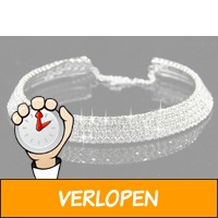 Opvallende choker